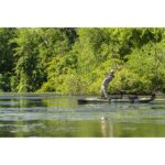 Hobie Mirage Outback Fishing Kayak – Demo Model - Image 7